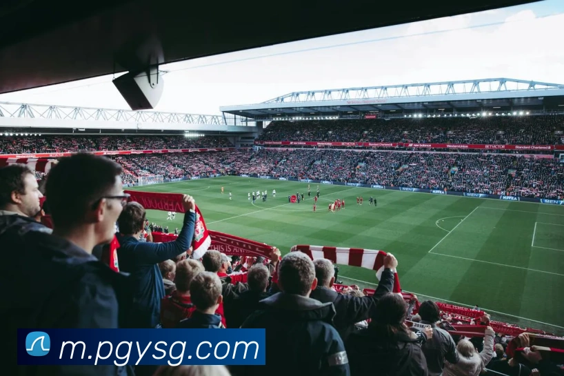 pg模拟器平台生态图