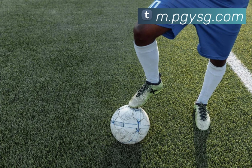 pg模拟器全站App